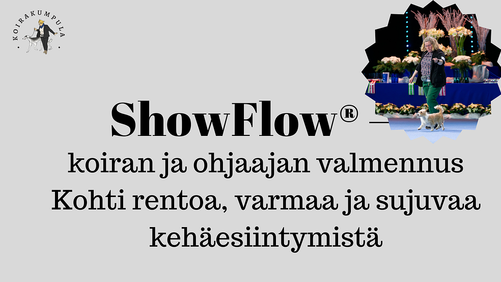 ShowFlow®-Kohti rentoa, varmaa ja sujuvaa kehäesiintymistä alk.8.5.26 by KoiraKumpula/Mom&Son Oy